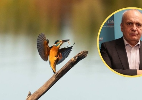 Uważność między skalpelem a obiektywem. Portret dr. hab. med. Macieja Brzezińskiego