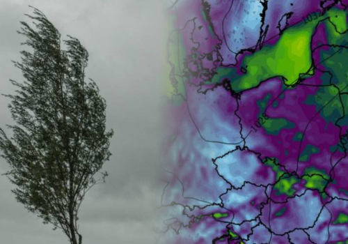Wichura nawet do 95 km/h. Ostrzeżenia IMGW i alert RCB