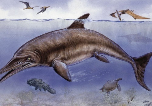 Ni to ryba, ni jaszczur. Niezwykłe znalezisko na Kubie. Takiego nie było