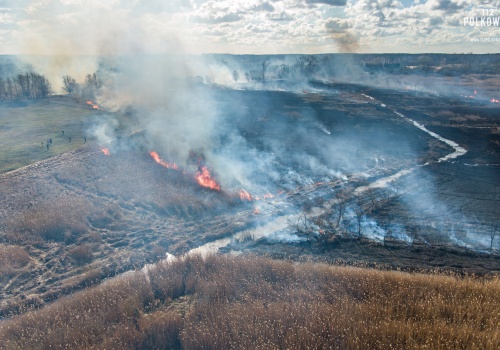 Rozległy pożar nieużytków w Chocianowie