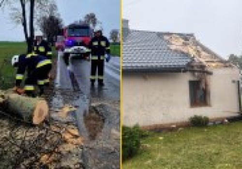Powalone drzewa, nadłamane konary. Pracowite święta strażaków