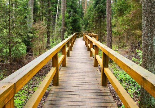 Królewska legenda wciąż żywa. Wyjątkowe miejsce między Lublinem a Warszawą. Więcej niż spacer