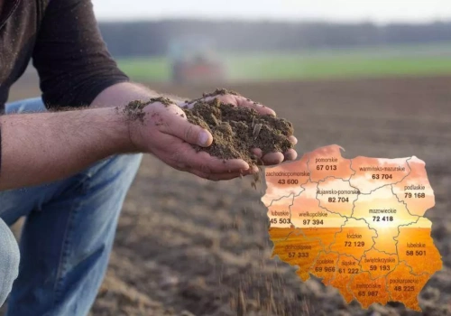 Ziemia rolna drożeje, ale różnice są ogromne. Nawet 123 tys. zł za hektar