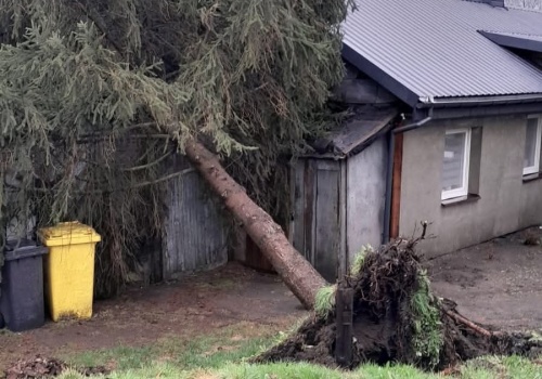Silny wiatr i burze w woj. lubelskim. Setki interwencji straży pożarnej, jedna osoba porażona prądem