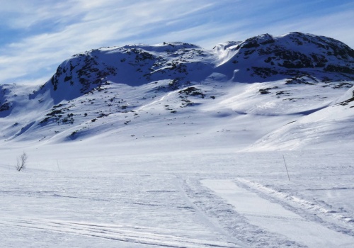 Lawina porwała cztery osoby w Norwegii. Są ofiary śmiertelne