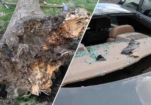 Przez Polskę przetoczyła się wichura. PSP opublikowała dramatyczny komunikat