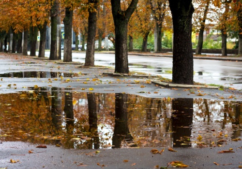 Jaka pogoda po świętach? We wtorek znów wietrznie