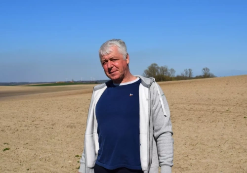 Uprawa soi. Co zrobić przed siewem, żeby nie stracić plonu?