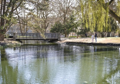 Przyducha w Parku Staszica. Szybka reakcja pozwoliła opanować sytuację