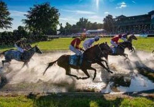 Wyścigi konne wracają na Partynice