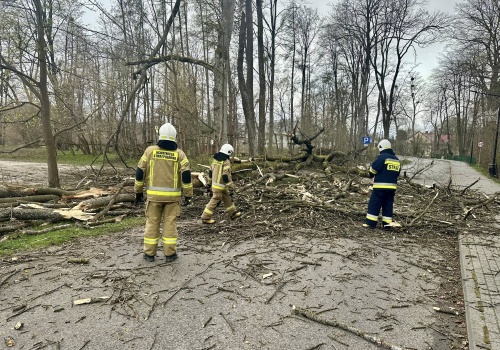 Strażacy podsumowali Wielkanoc. ‘Intensywne działania’
