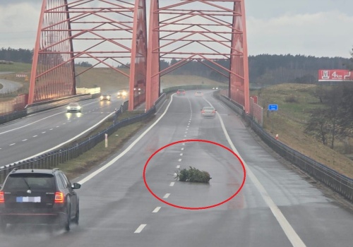Choinka na obwodnicy Olsztyna rozpaliła internet. 