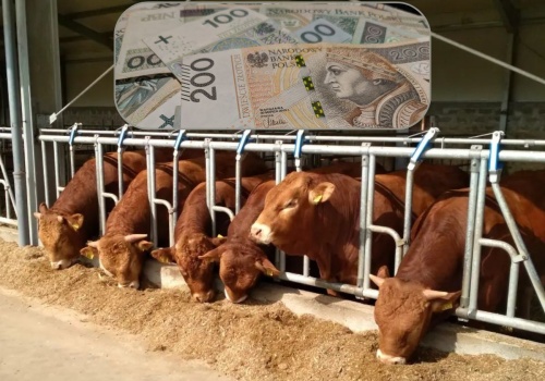 Dobrostan 2025: mniej pieniędzy za te same praktyki – znamy stawki