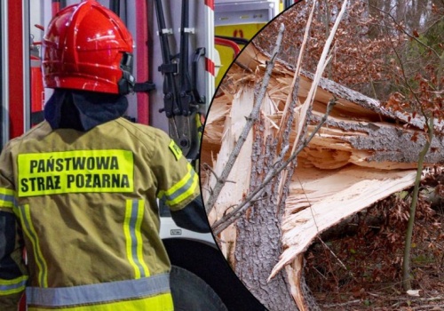 Potężne wichury nad Polską. Tysiące interwencji strażaków