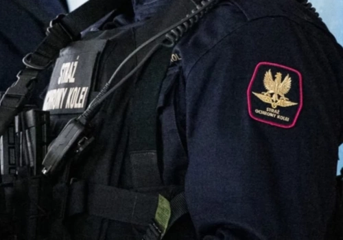 Kradzież na torach. Mężczyzna został przyłapany z metalowymi elementami