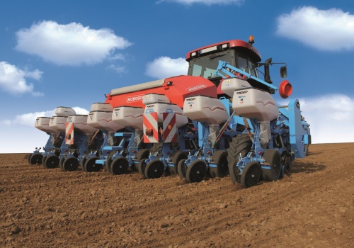 Jeden błąd przed siewem kukurydzy i strata rośnie. Na 1 ha to nawet 280 zł