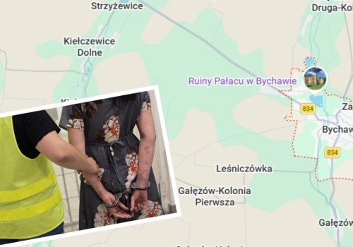 Wzięła solidny zegar w kształcie słonia i uderzyła 86-latkę w głowę. Staruszka nie żyje