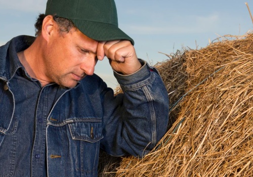 Rolnicy alarmują. Sytuacja gospodarstw 2026 najgorsza od lat