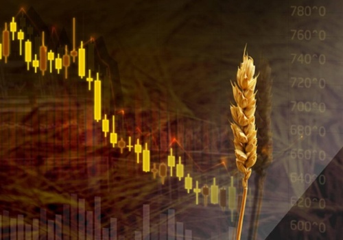 Trwa chaos na rynkach zbożowych. Nadchodzące dni zapowiadają się burzliwie