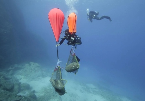 Tysiące lat żeglarskich lat historii w jednym miejscu. Archeolodzy odkryli podwodne cmentarzysko