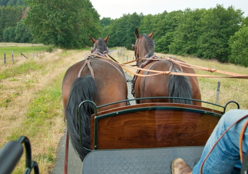 Nietrzeźwy woźnica doprowadził do wypadku. Pasażerka spadła z zaprzęgu i trafiła do szpitala