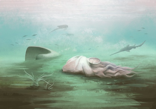 Paleontolodzy wrócili do słynnej skamieniałości. Efekt okazał się brutalny dla starej teorii