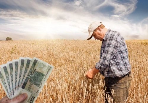 Ile wynosi emerytura z KRUS po 25 latach? Kwota może zaskoczyć