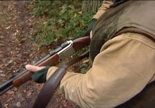 70-letni myśliwy zastrzelił swoje psy. Odpowie za to przed sądem