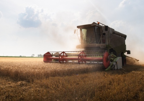 Zboża tanie jak kiedyś, ale koszty rekordowe. Tak źle nie było od lat