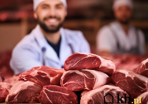Dziennikarskie śledztwo ujawniło źródło pochodzenia mięsa z Dino