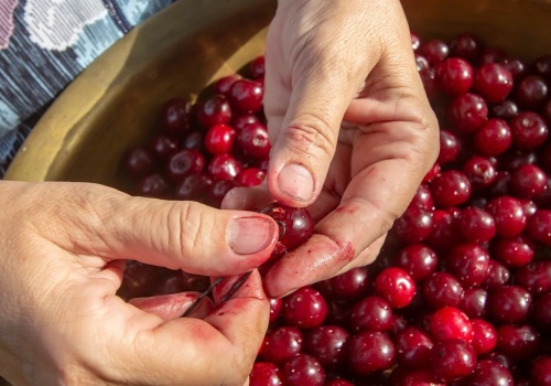 Zawsze robię to wiosną i mam więcej owoców. Większość osób zapomina