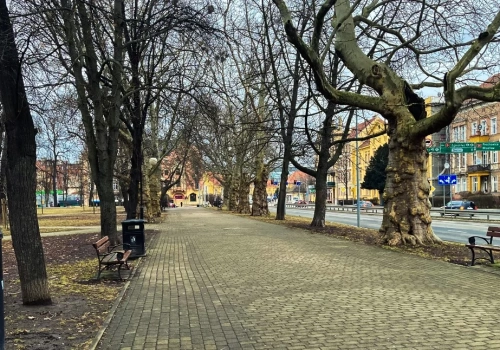 Przymrozki w powiecie legnickim - ostrzeżenie meteo