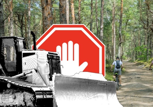 Polska wyznacza tereny starolasów. Mają zatrzymać buldożery deweloperów