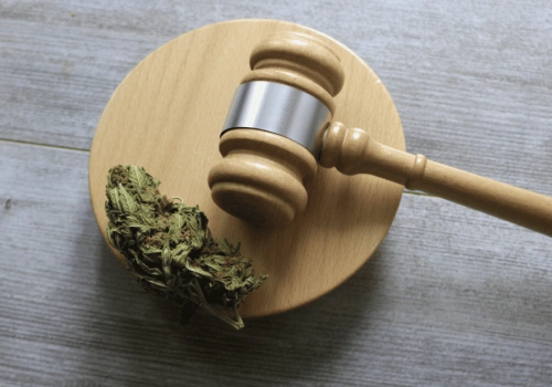 Ustawa o depenalizacji marihuany – burza w Sejmie