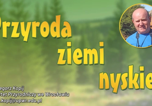 Przyroda ziemi nyskiej: Zwiastun wiosny