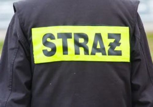 Auto uderzyło w słup energetyczny. Strażak OSP nie żyje