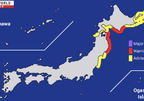Tsuanami w Japonii. Bez zakłóceń w elektrowniach jądrowych