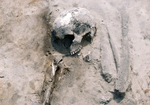 Prehistoryczne menu Europy było znacznie bardziej skomplikowane, niż sądzono