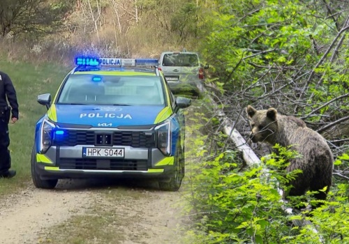 Przed śmiercią dzwoniła do syna. Nowe ustalenia po ataku niedźwiedzia