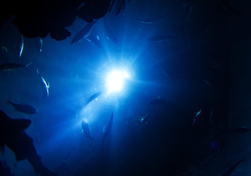 Kraken istniał naprawdę. Szczątki giganta przerażają nawet po latach