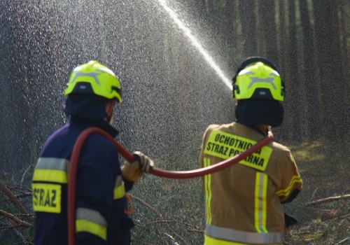 ​Duży pożar lasu na Pomorzu. W akcji gaśniczej wykorzystano samolot