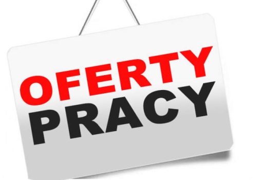 Oferty pracy – można czarować, zostać dyrektorem albo mieć kontakt z cudzoziemcami