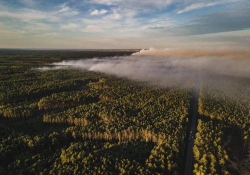 Nadleśnictwo Józefów. Pożar lasów. Katastrofa samolotu gaśniczego. Nie żyje pilot