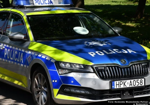 Tragedia podczas wycinki drzew. Nie żyje 43-letni mieszkaniec powiatu sanockiego