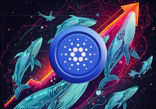 Odrzucenie Cardano może być błędem. Wieloryby wiedzą coś więcej?