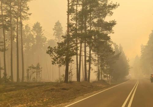 Nowe dane. Ponad tysiąc hektarów spłonęło w Puszczy Solskiej