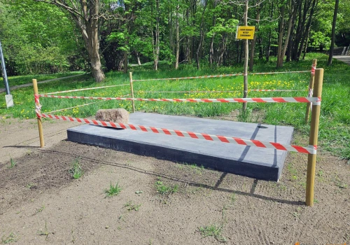W centrum Olsztyna stanie pomnik jelenia. Monument ma przyciągać turystów. Trafiona atrakcja?