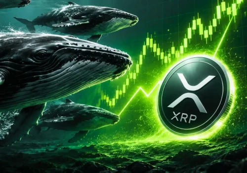 Wieloryby gromadzą rekordową ilość XRP. Na co się szykują?