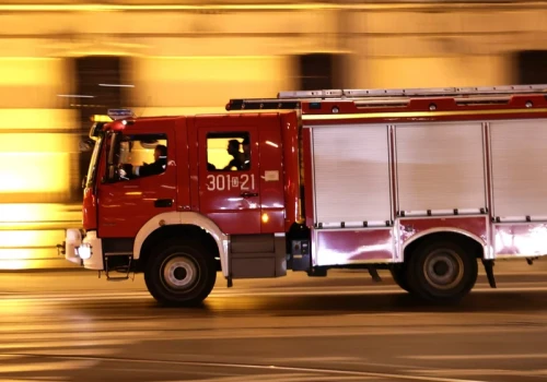 Próbowały uciec, ale nie były w stanie. Tragiczny finał pożaru, 10 psów nie żyje