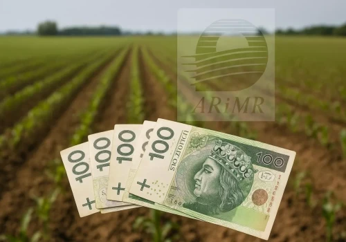 Rolnik złożył wniosek o dopłaty i oddał pole. Tu łatwo stracić pieniądze